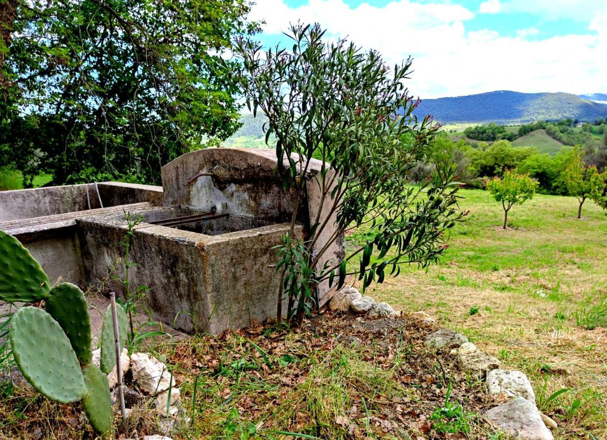 Ai Limiti • 67 • Stonehouse Guest House Palombaro Екстериор снимка